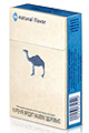 Buy discount Camel Natural Blue Box online