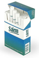 Buy discount Salem Menthol online