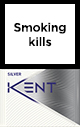 Buy discount Kent Silver online